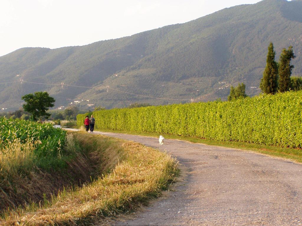Agriturismo La Pisana Natur foto